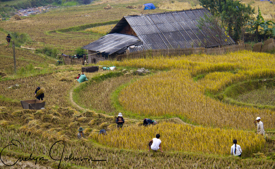 Vietnam