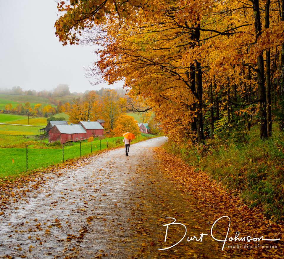 New England Fall Colors