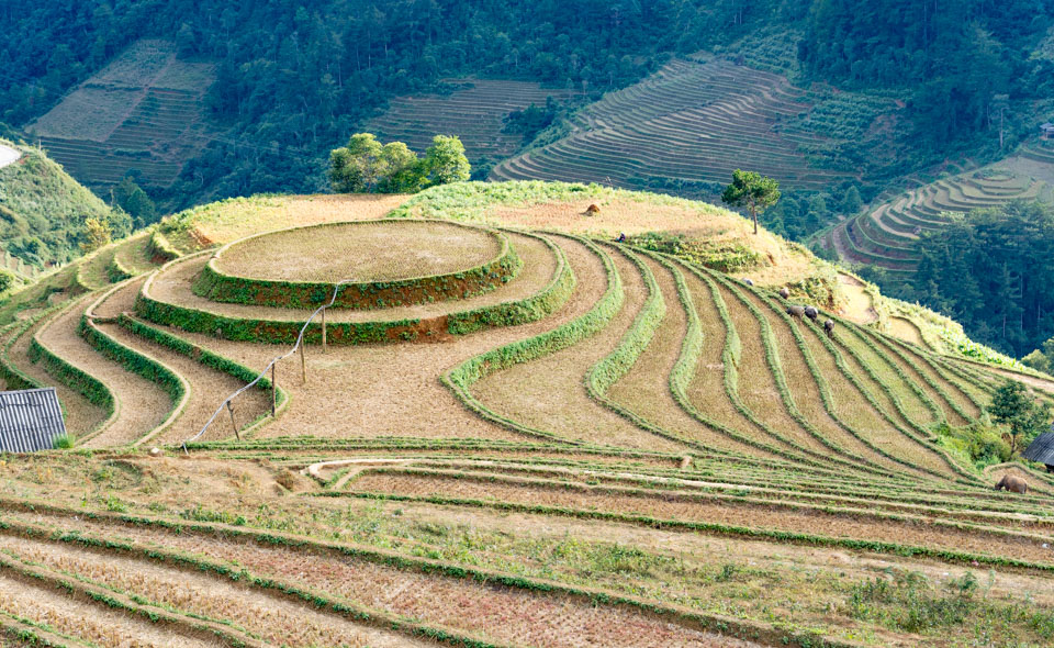 Vietnam