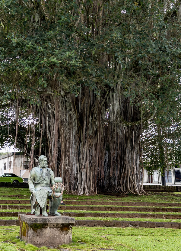 Travel Image