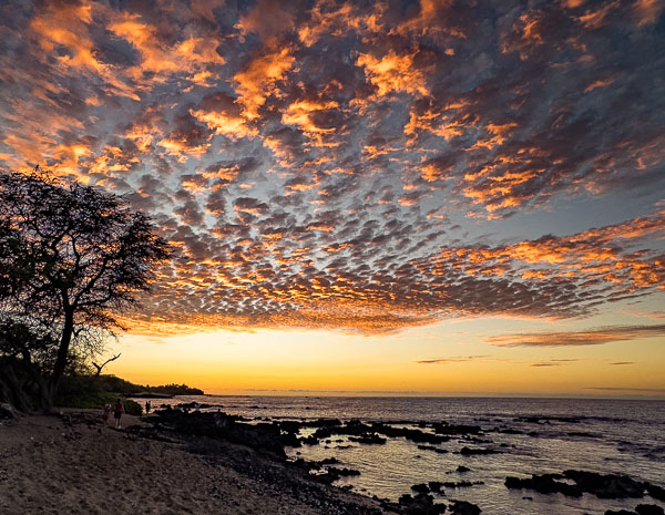 Travel Image
