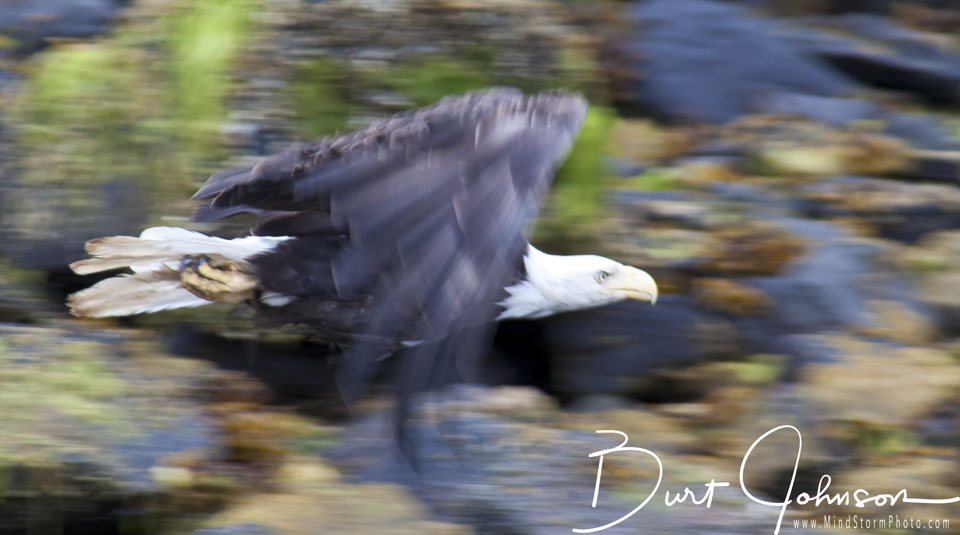 Travel Image