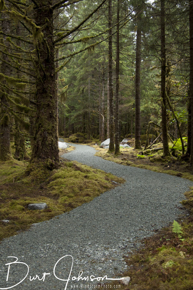 Travel Image