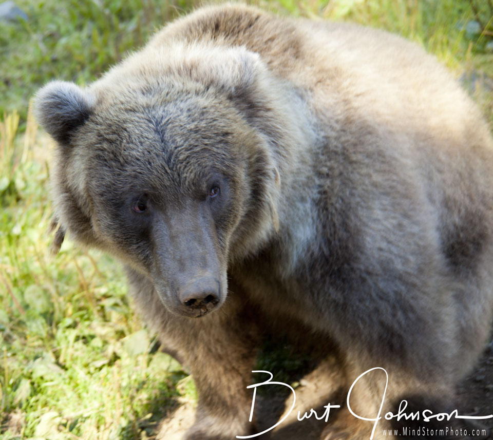 Travel Image