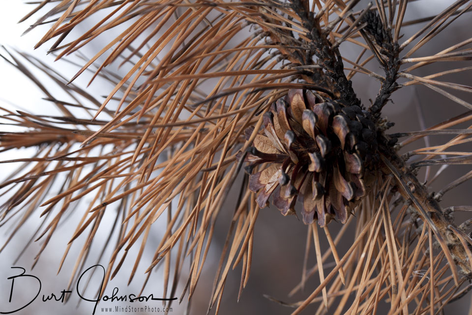 Travel Image