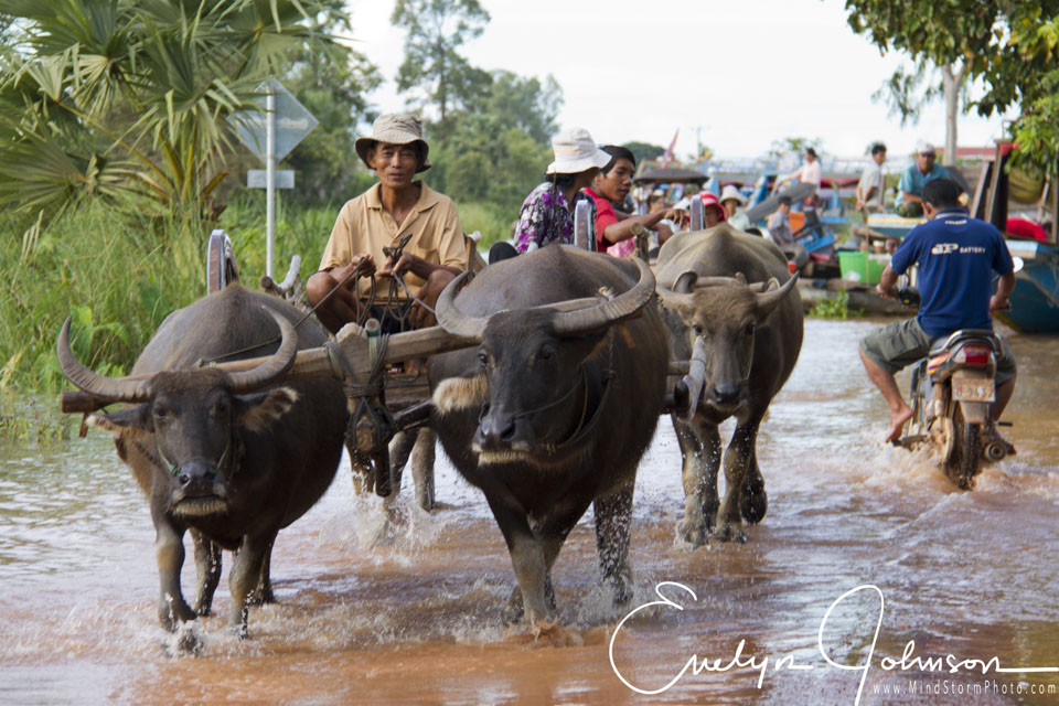 Travel Image