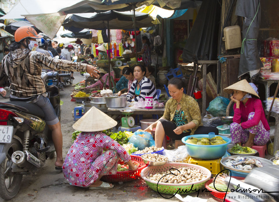 Travel Image