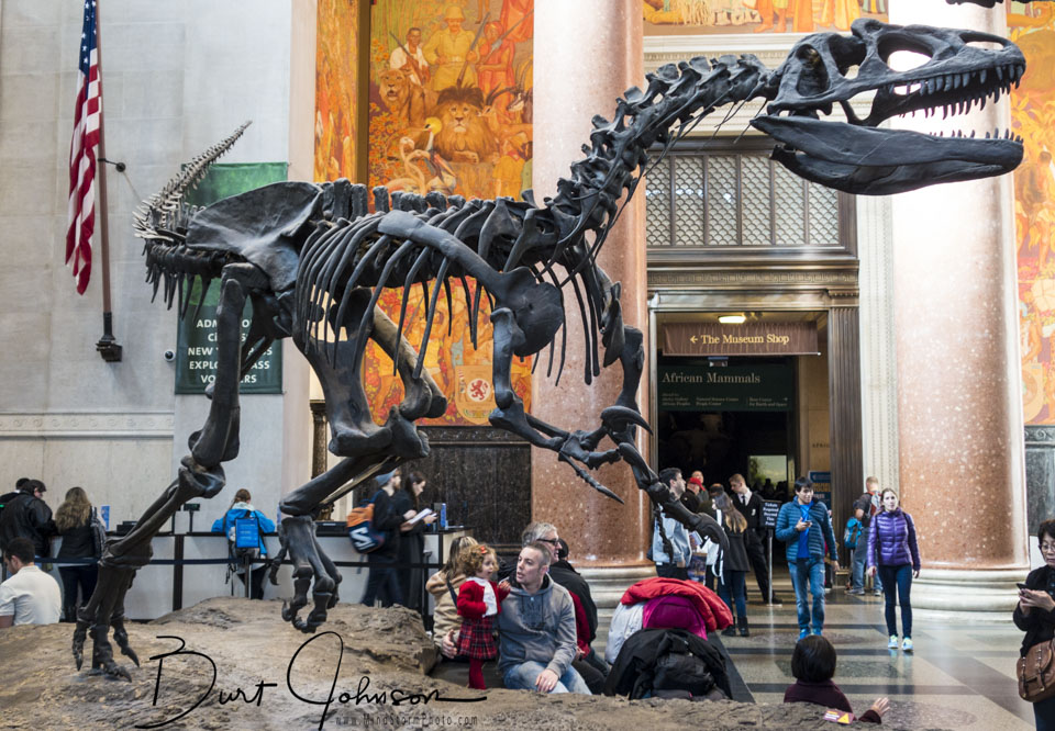 Travel Image
