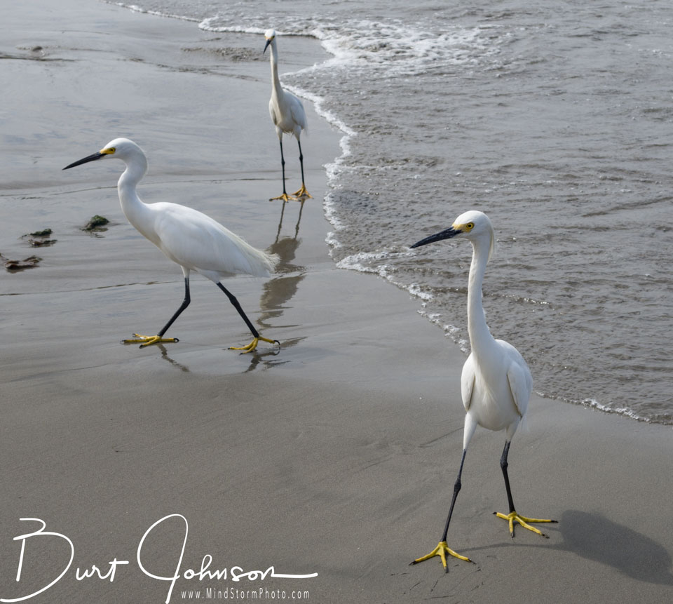 Travel Image