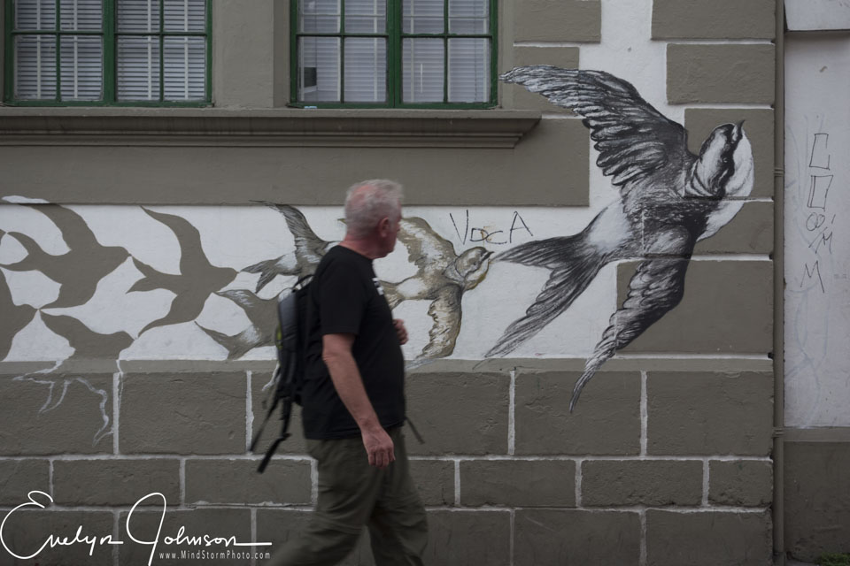 Travel Image