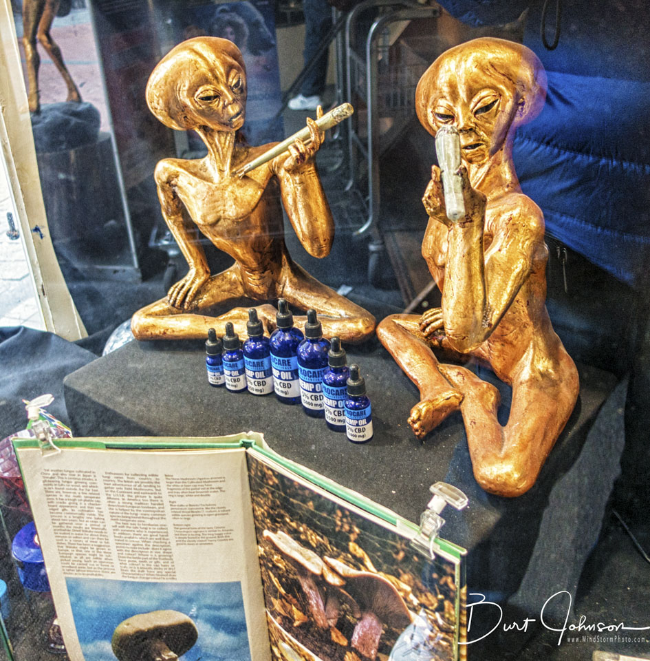 Travel Image