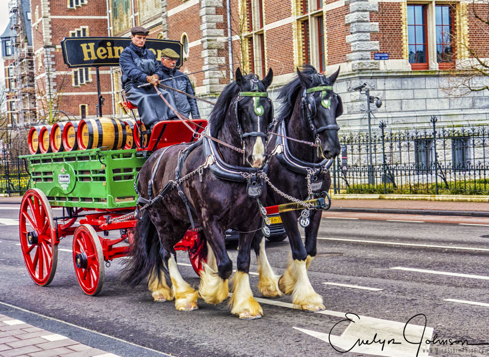 Travel Image