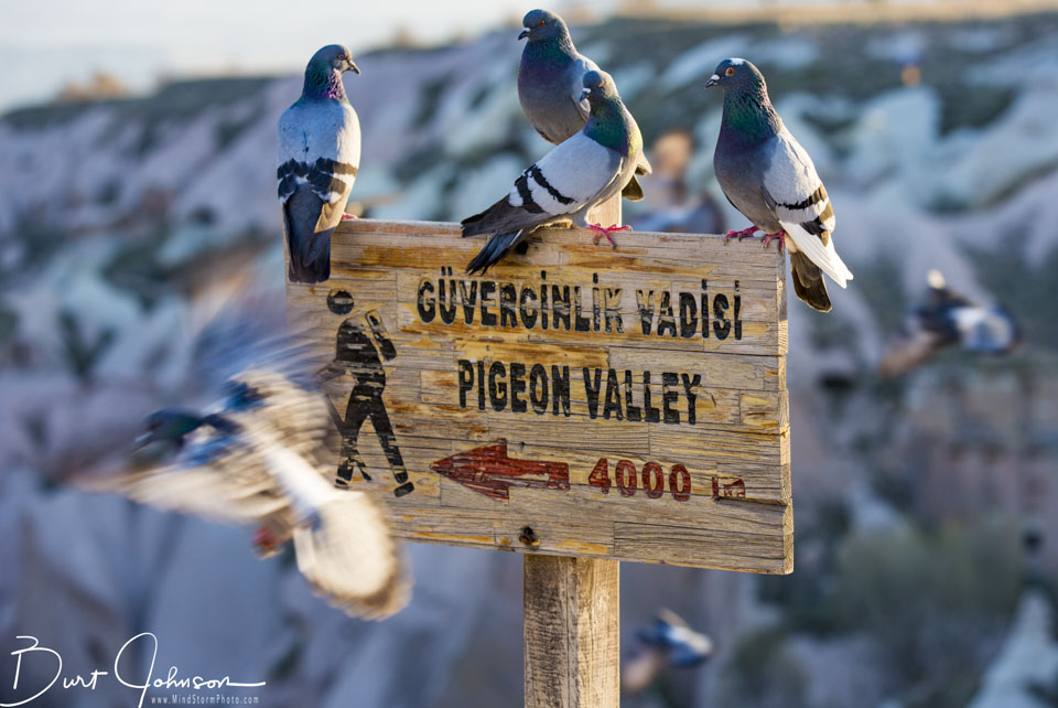 Travel Image
