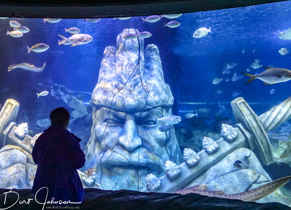 Travel Image