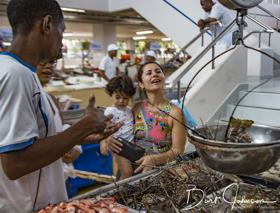 Travel Image