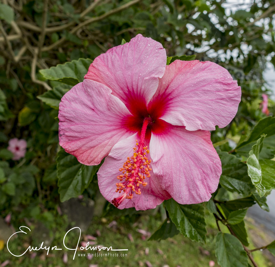 Travel Image