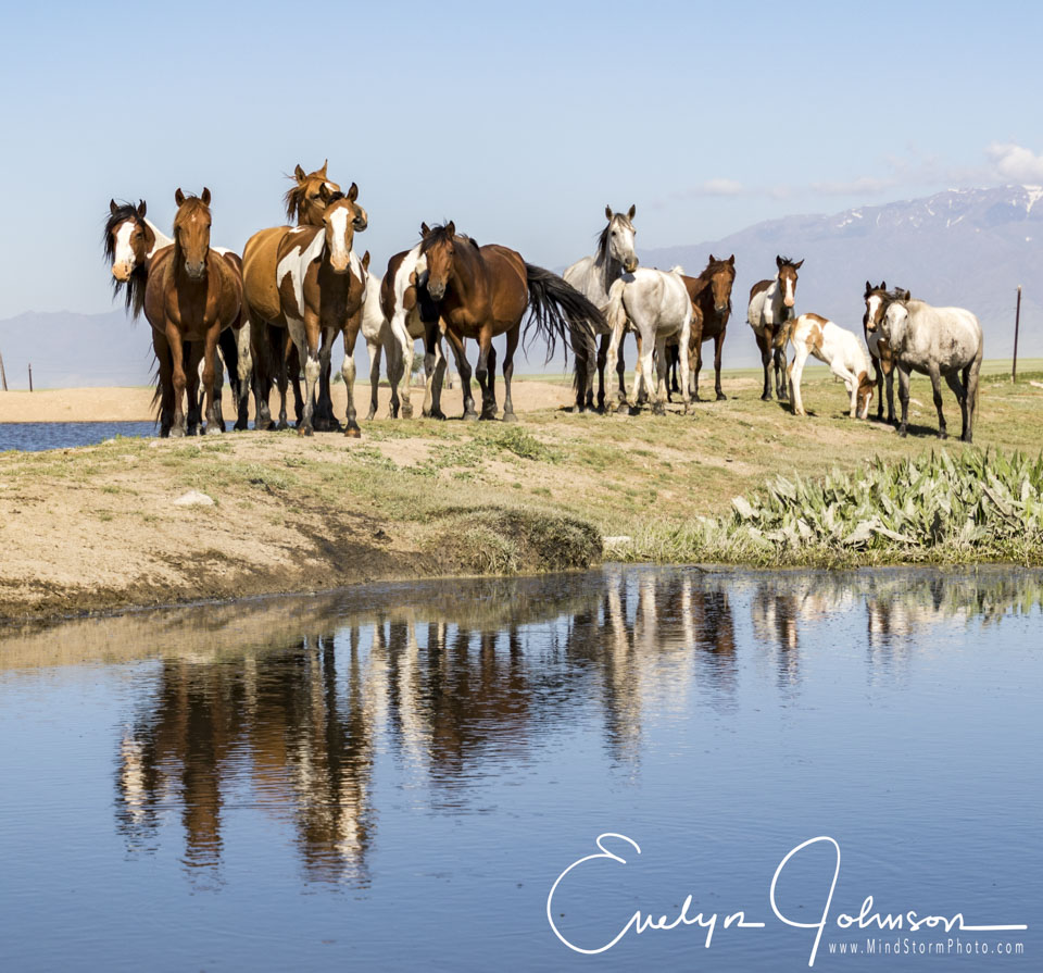 Travel Image