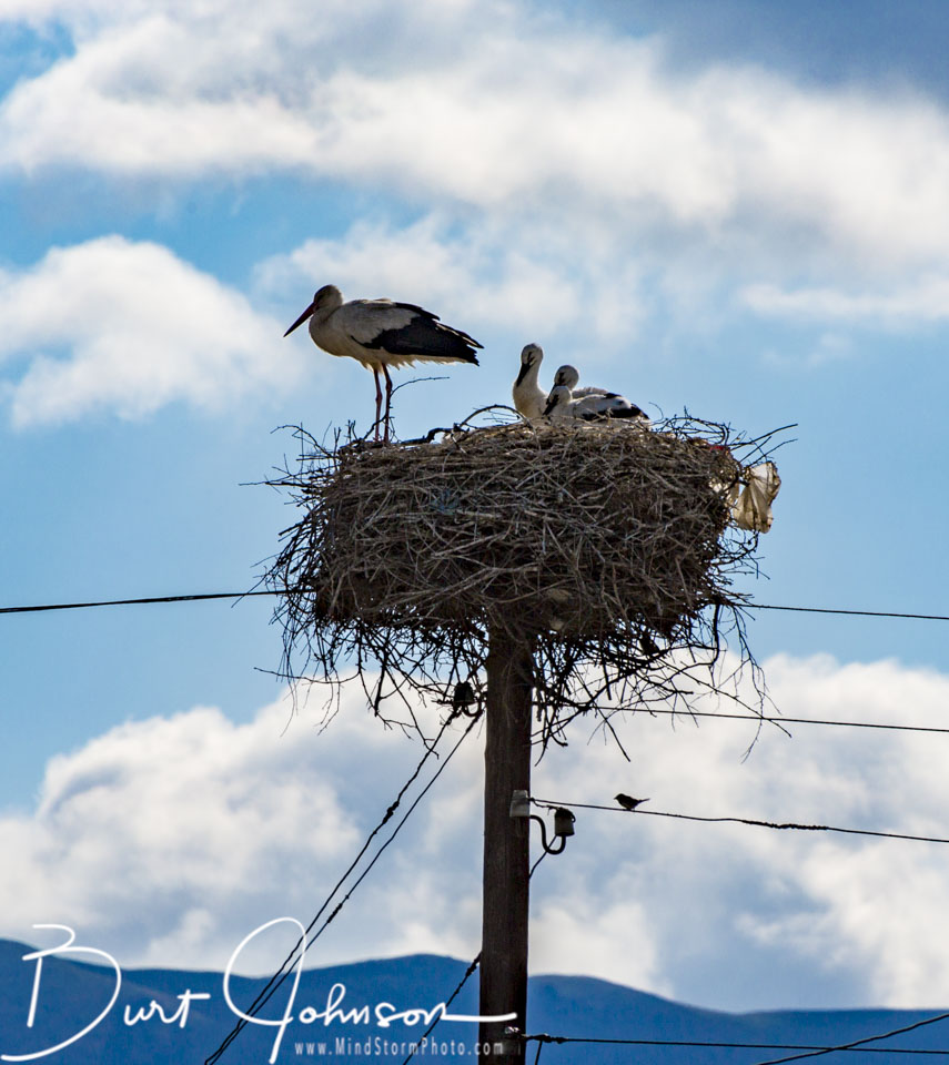 Travel Image