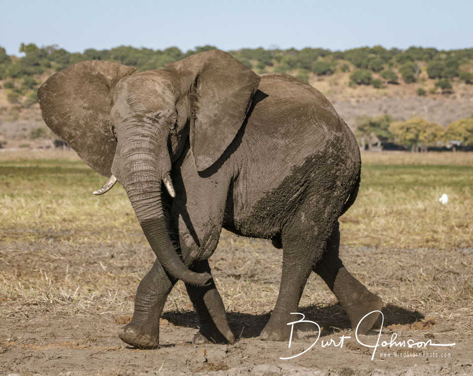 Travel Image