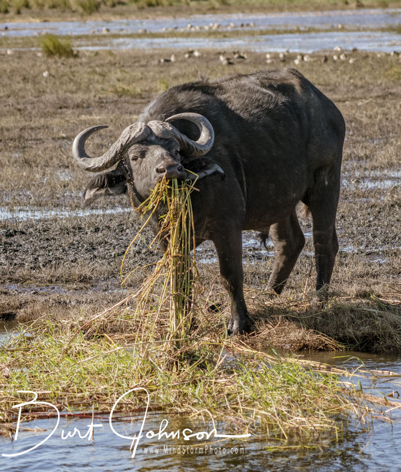 Travel Image