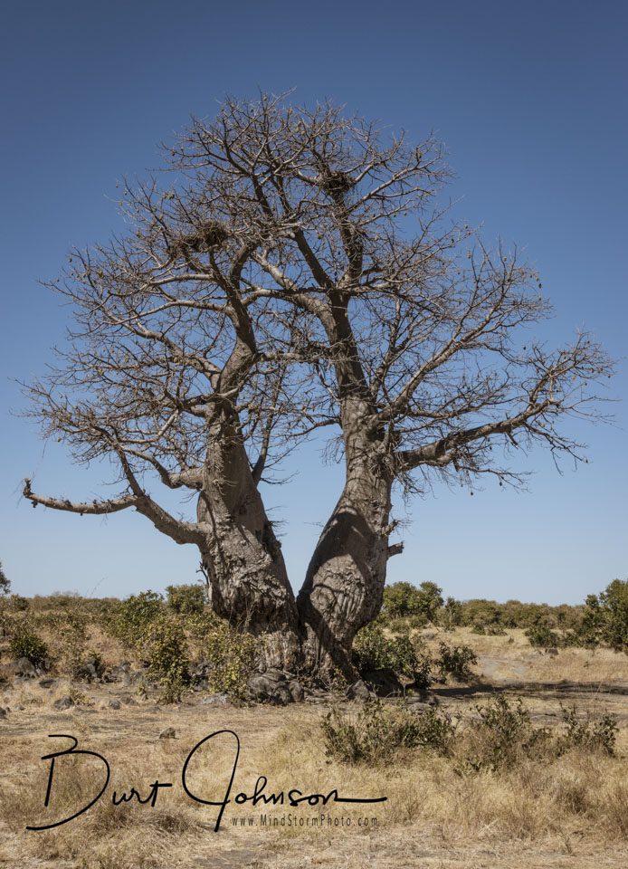 Travel Image