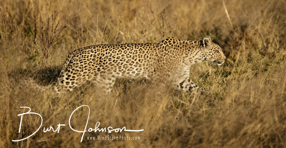 Travel Image