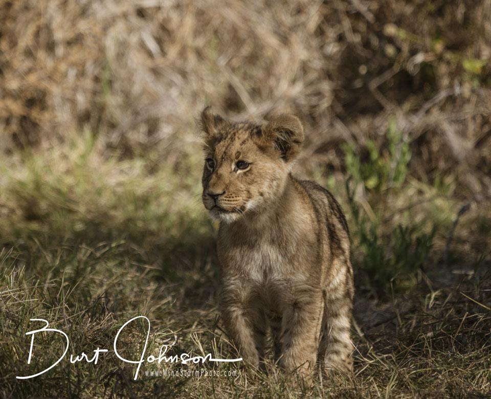 Travel Image