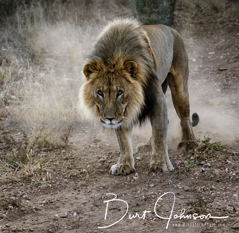 Travel Image