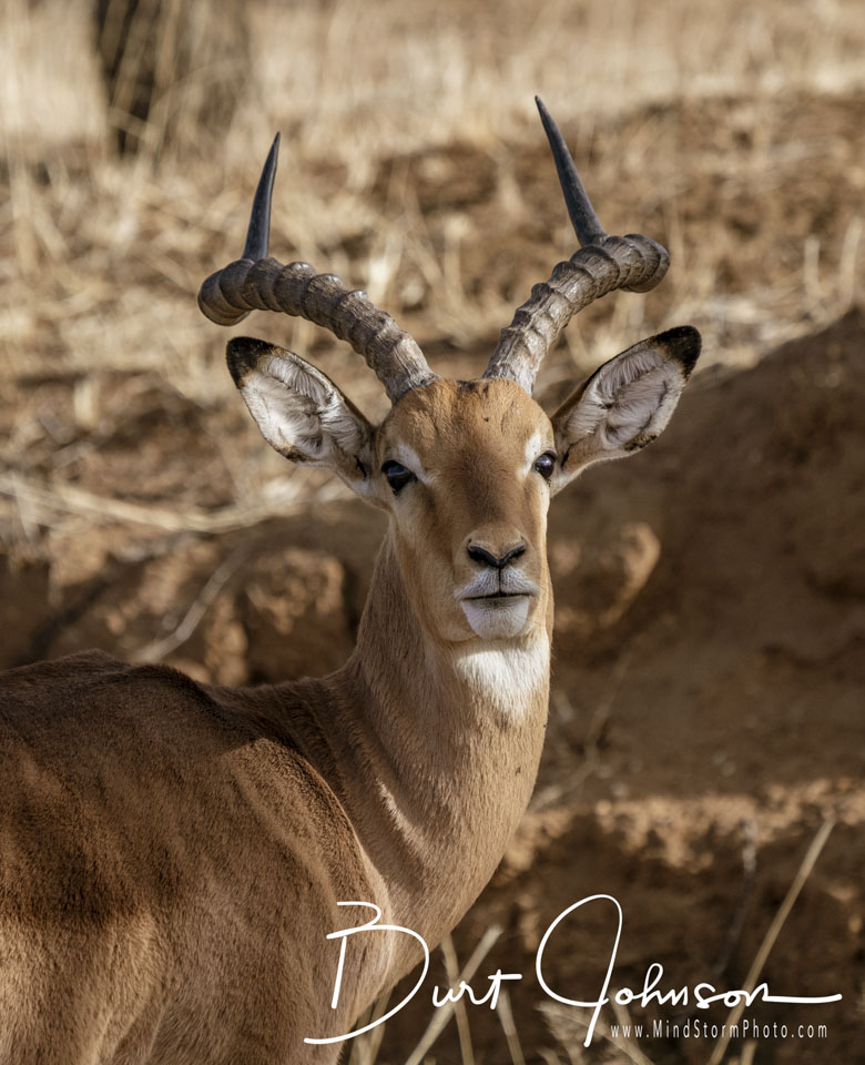 Travel Image