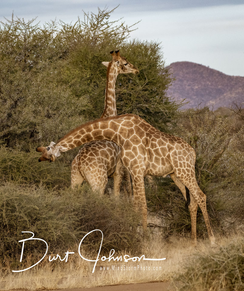 Travel Image