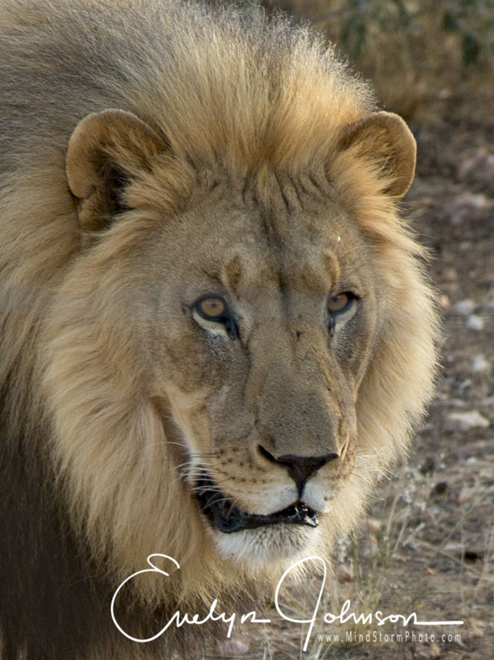 Travel Image