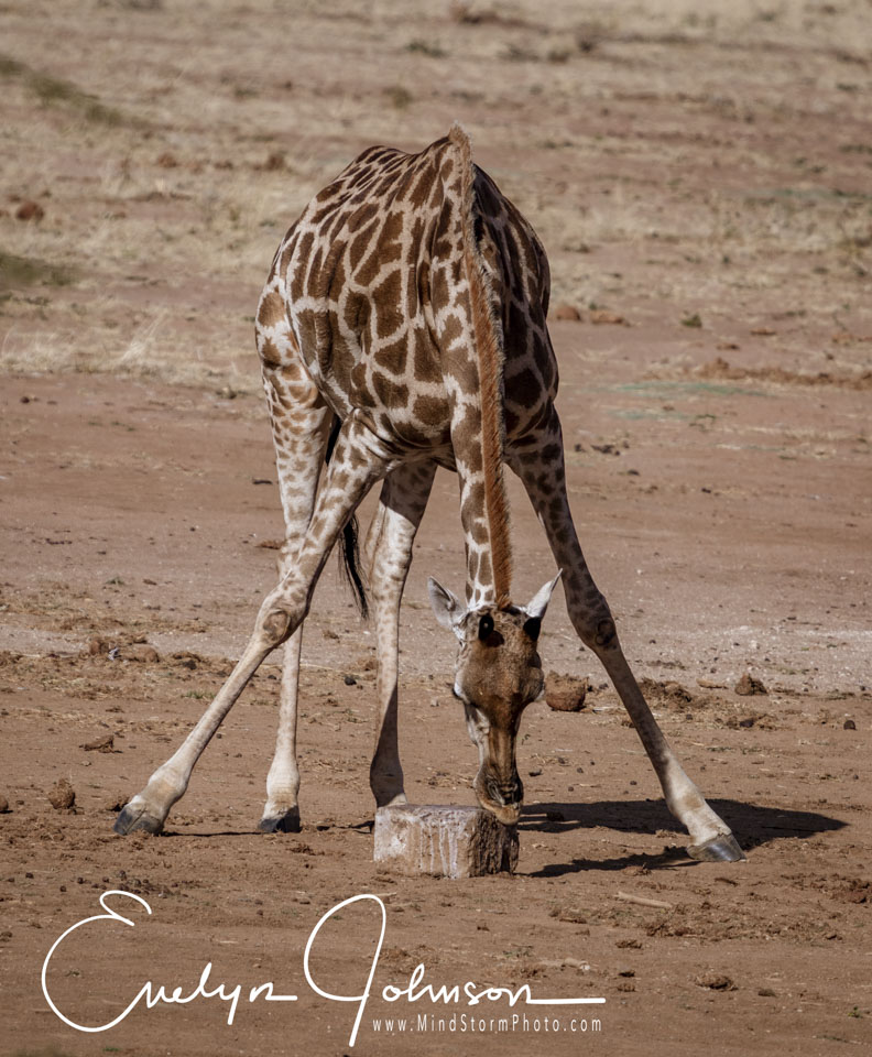 Travel Image