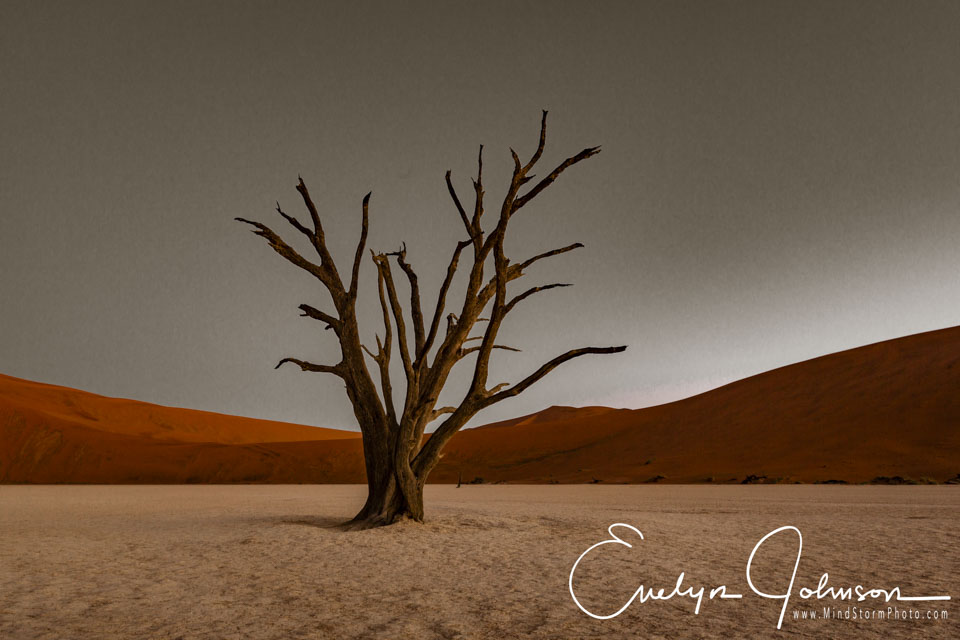 Travel Image