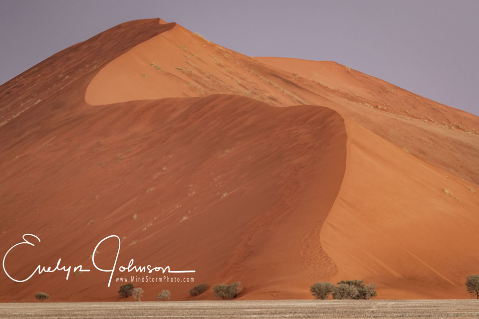 Travel Image