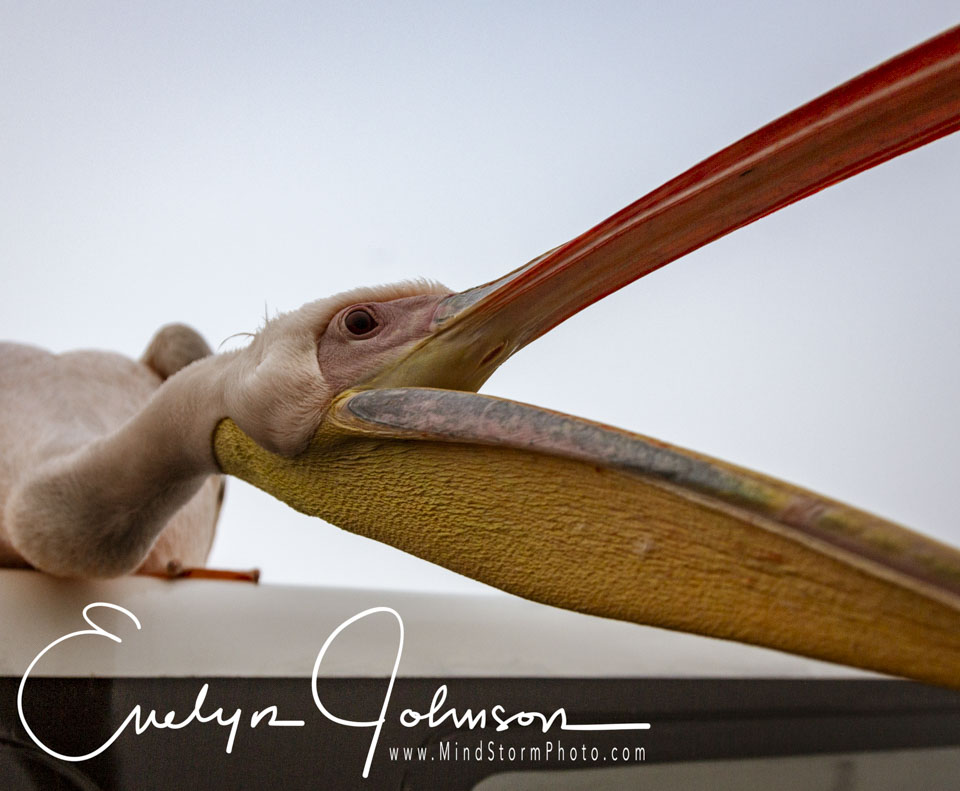 Travel Image