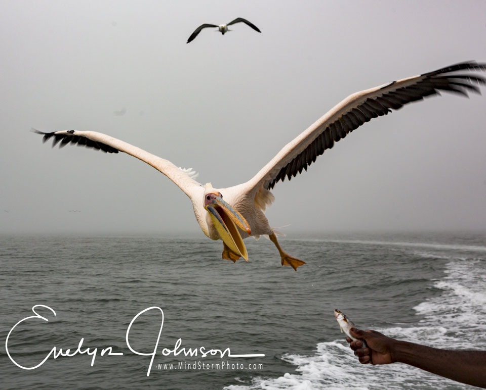 Travel Image