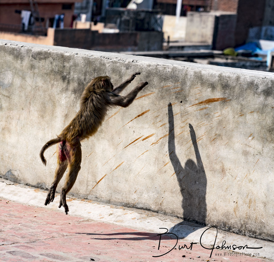Travel Image
