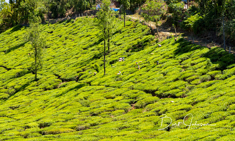 Travel Image