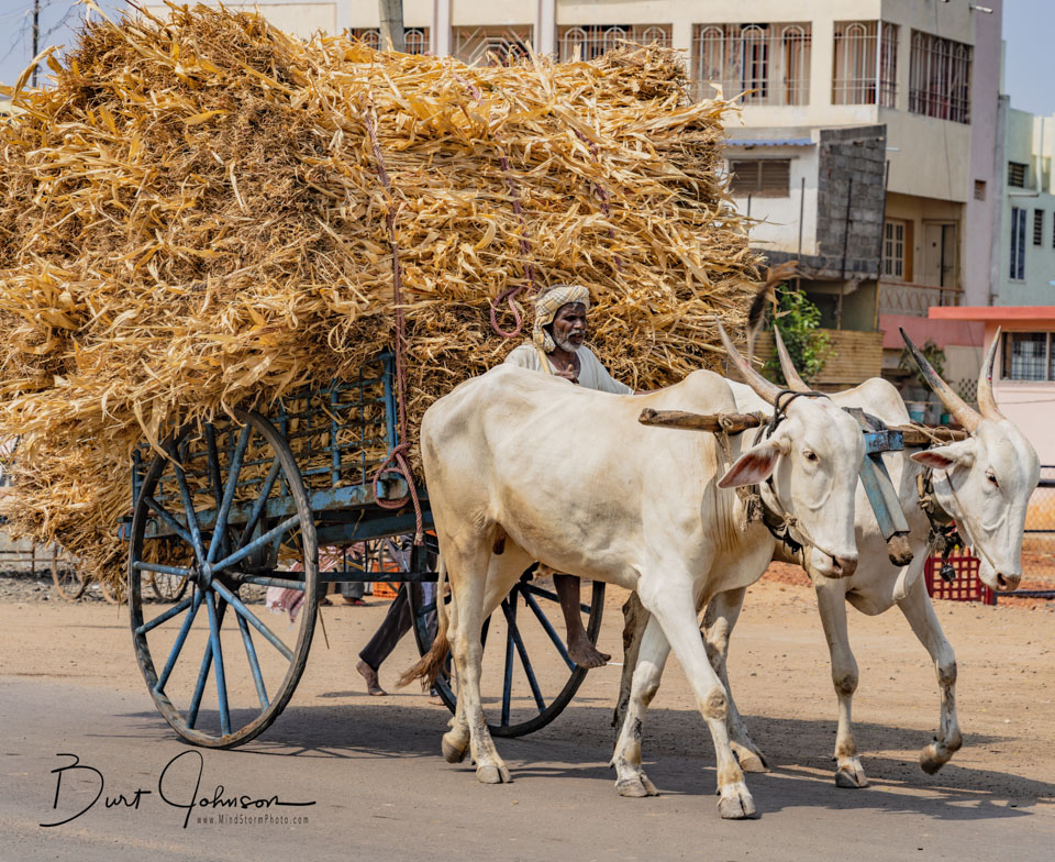 Travel Image