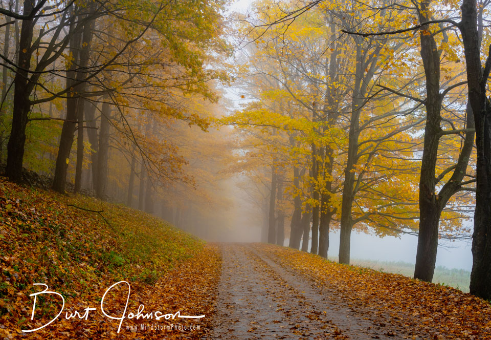 Travel Image