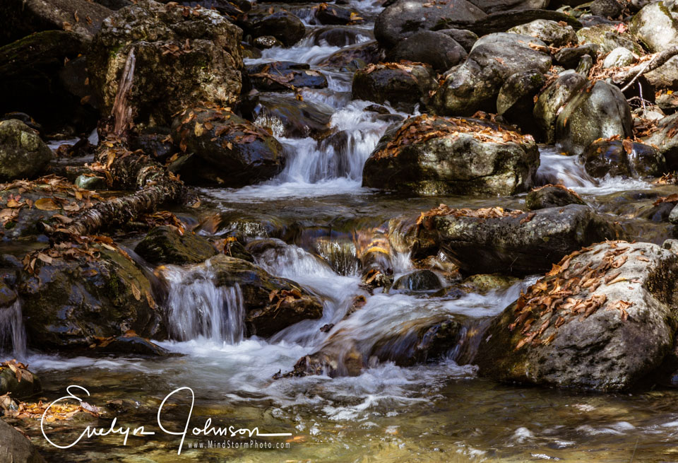 Travel Image