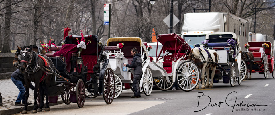 Travel Image