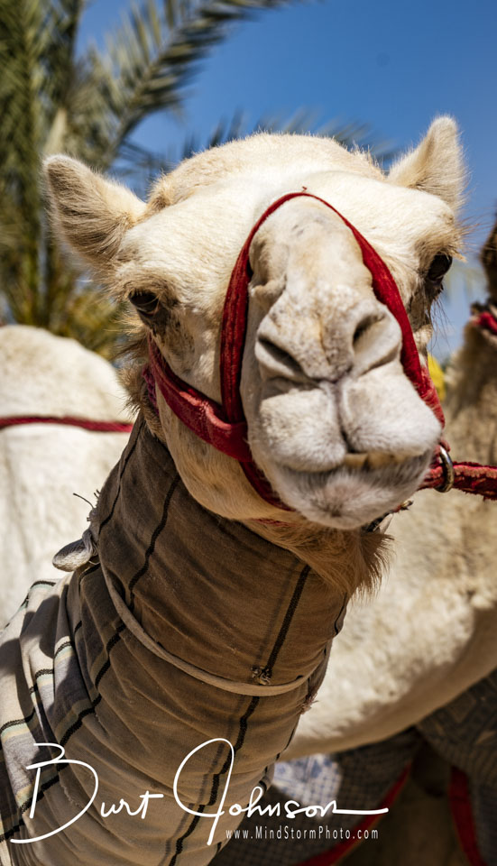 Travel Image