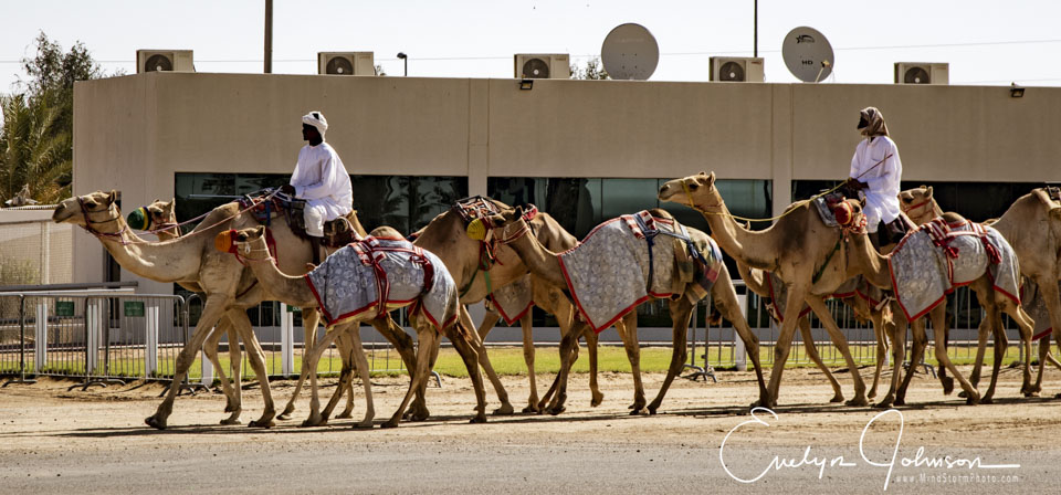 Travel Image
