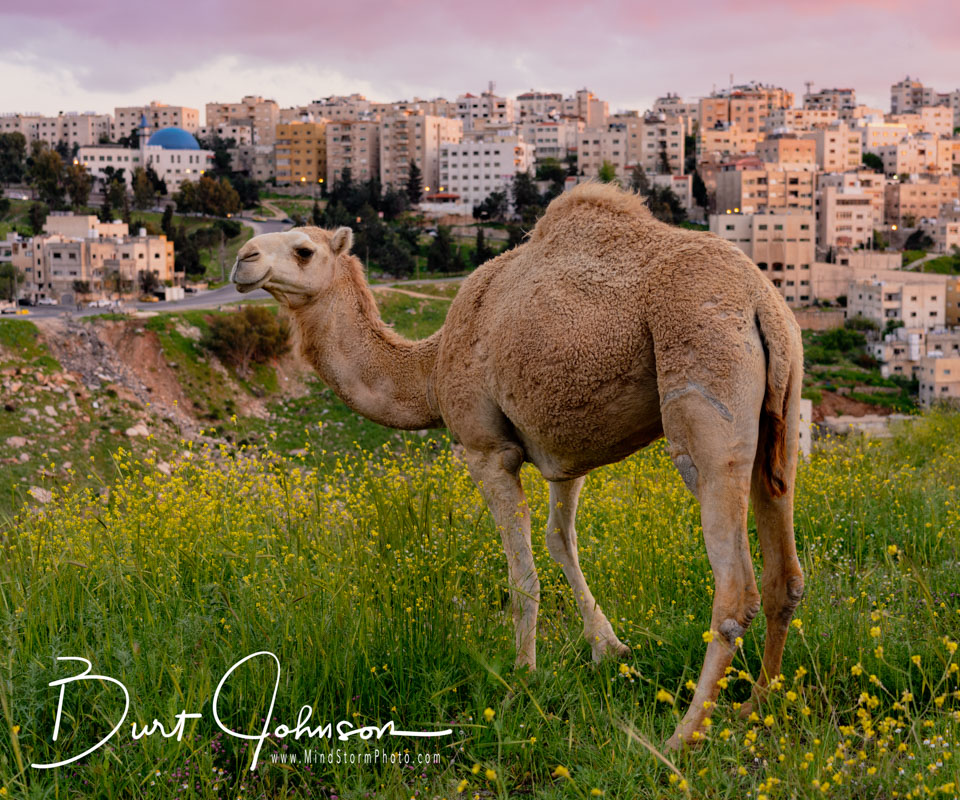 Travel Image