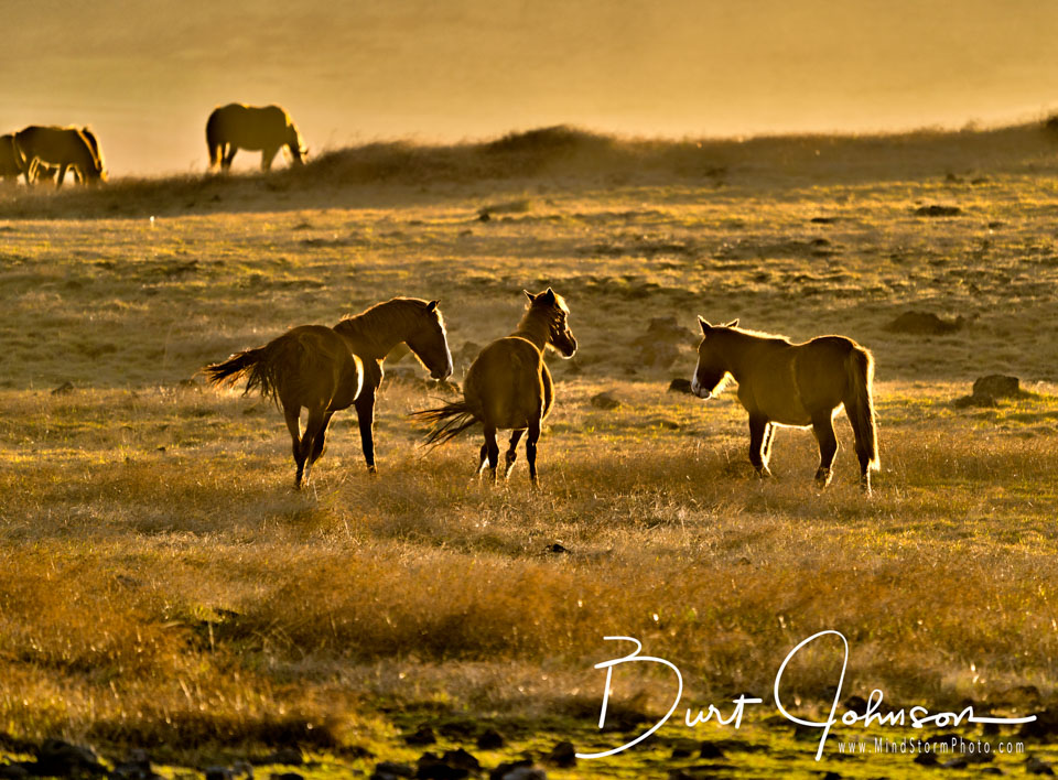 Travel Image