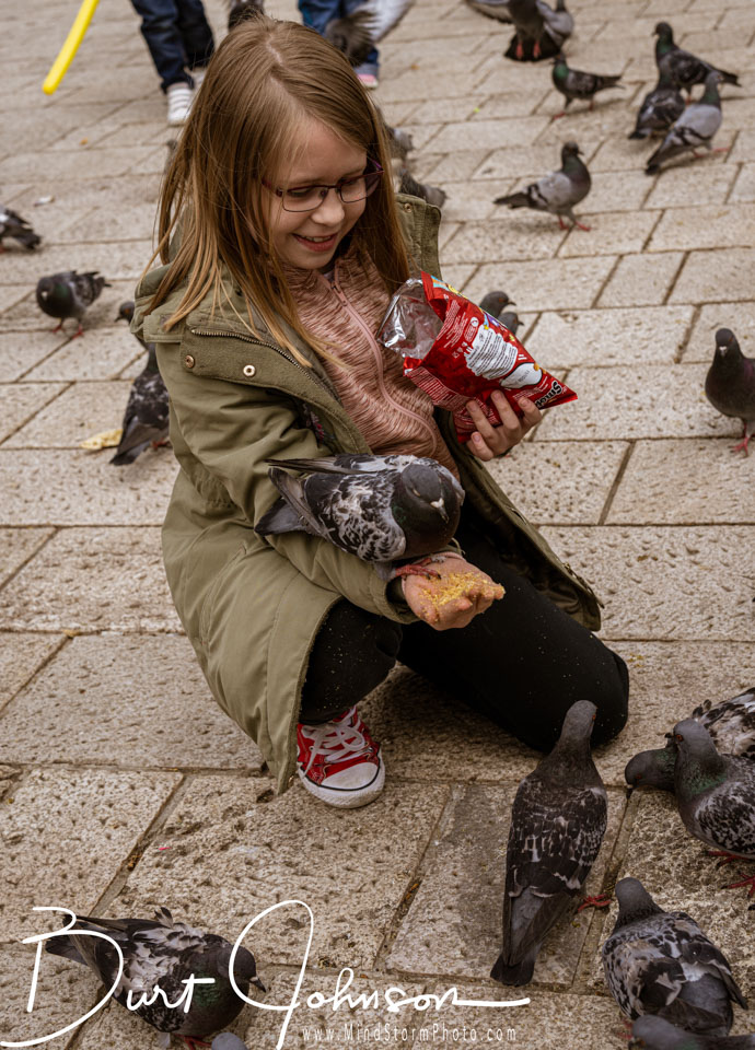 Travel Image