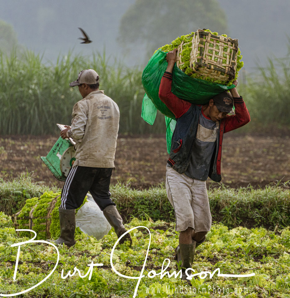 Travel Image