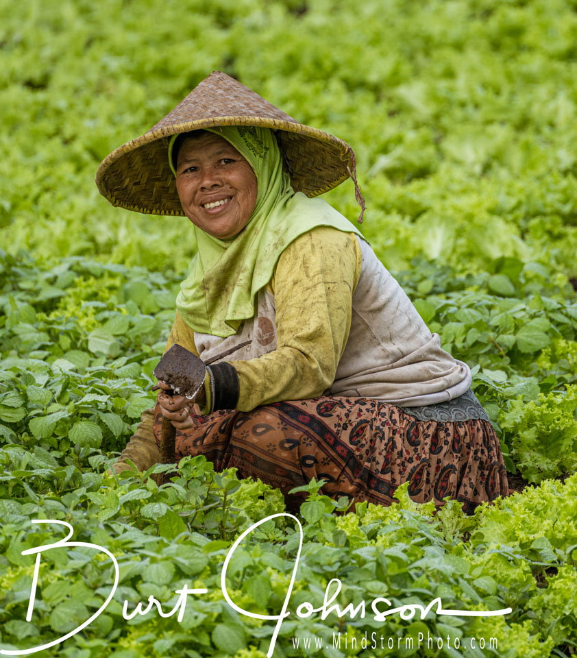Travel Image