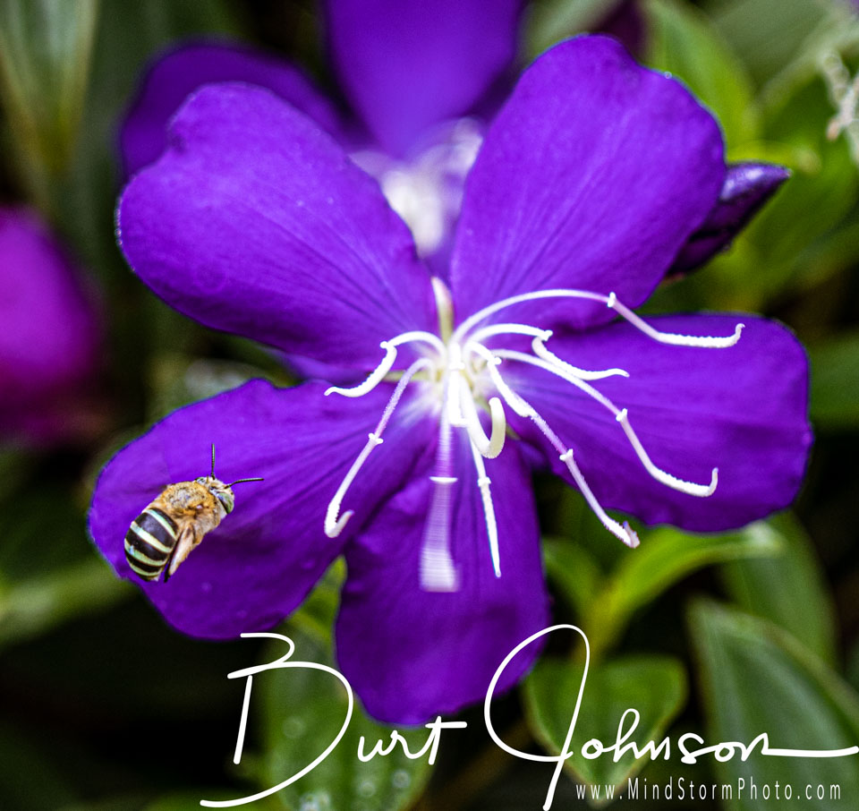 Travel Image